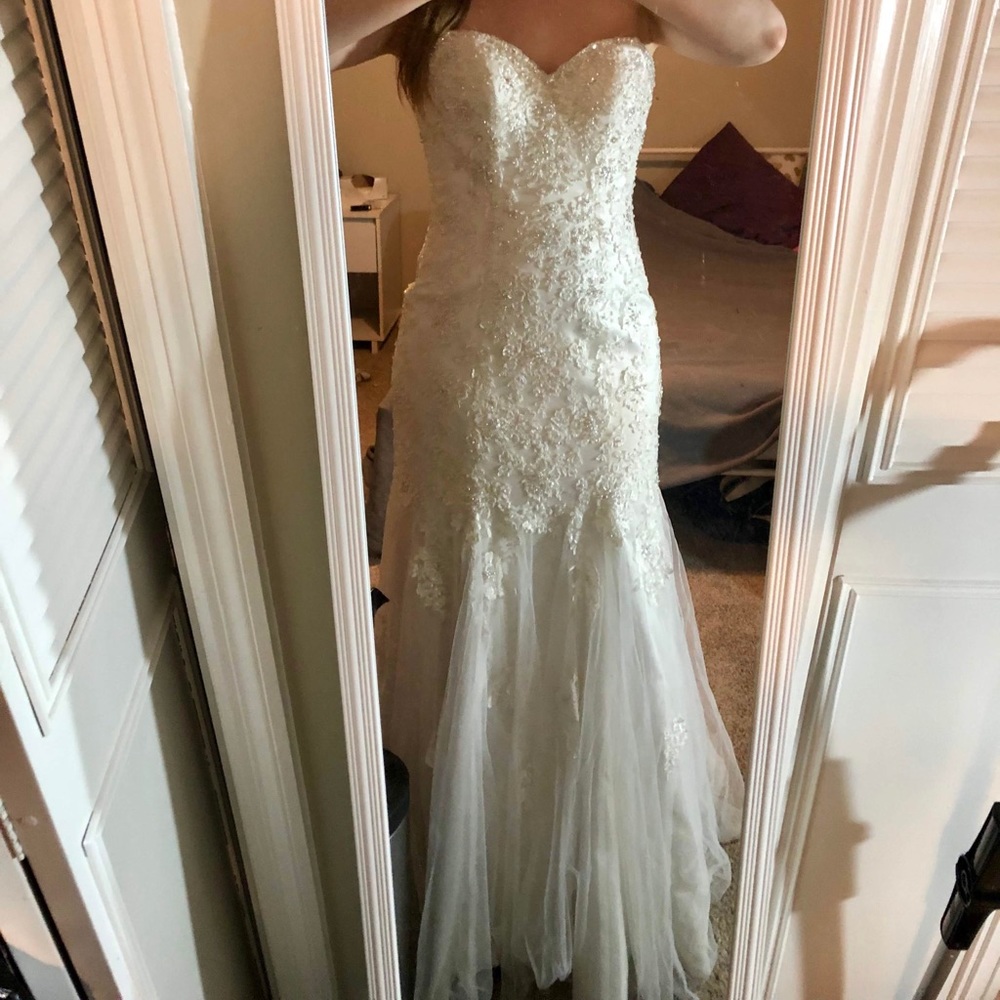 Unaltered Sample - Stella York 5986 - image 1